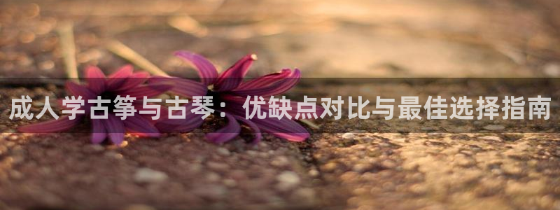 凯发k8官方网娱乐官方