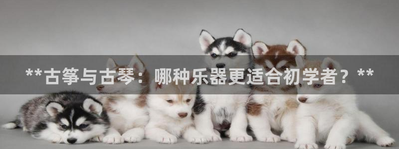 凯发k8娱乐官方版fxzls -安卓3.5