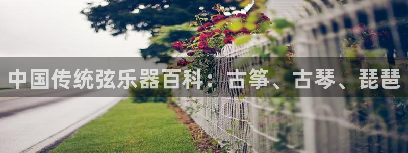 凯发网址多少
