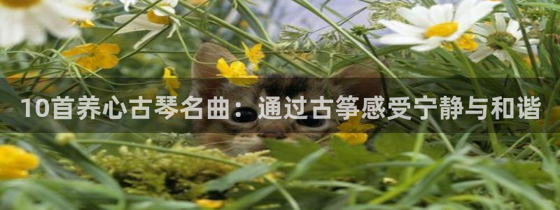 凯发国际官网下载