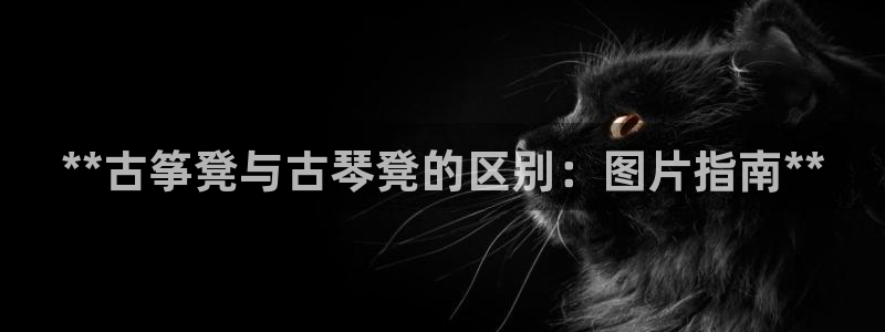凯发k8国际不能提款了吗