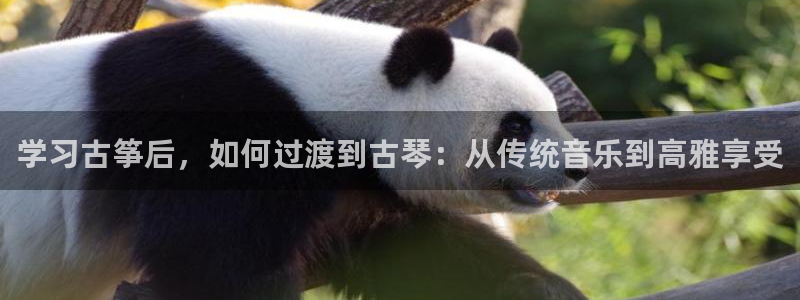 凯发K8天生赢家一触即发
