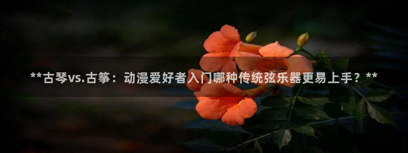 凯发网网站