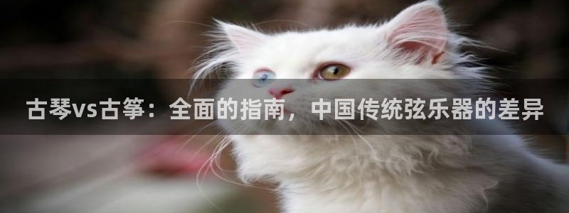 凯发平台开户