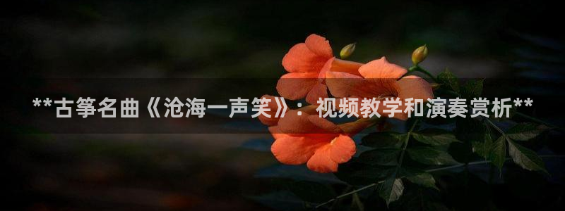 凯发app是干嘛的