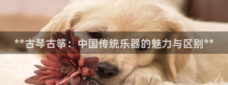 凯发平台网址