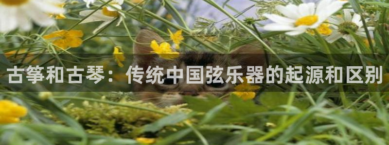 凯发线上客户端免费下载