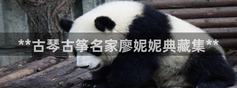 凯发娱网址是什么