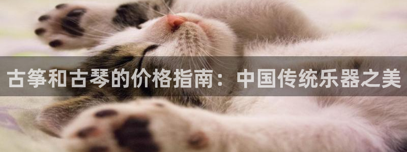 凯发k8天生赢家·一触即发
