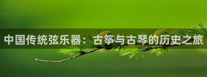 凯发网娱乐官网国际