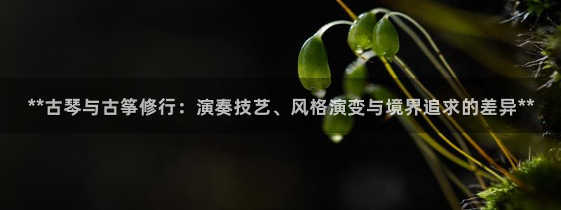 凯发k8娱乐官网网址中心