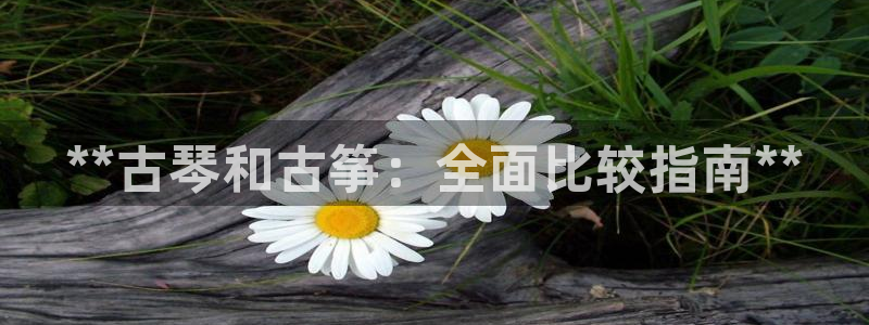 凯发娱网址是什么