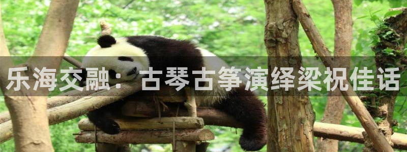 凯发k8娱乐官网手机端中心