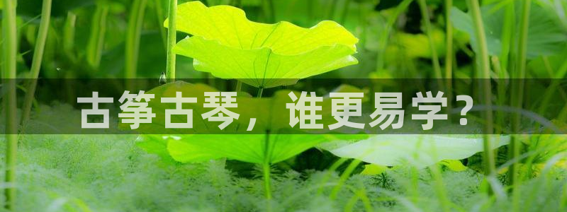 凯发国际可靠送38元