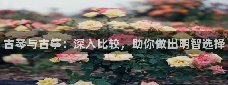 凯发a600丶cc官网首页