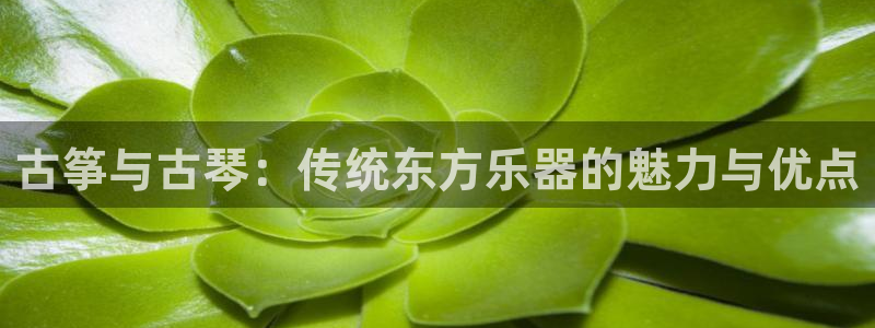 凯发k8娱乐官网入