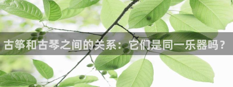 凯发娱乐官方网