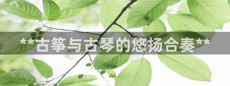 凯发k8娱乐要访问kf6819