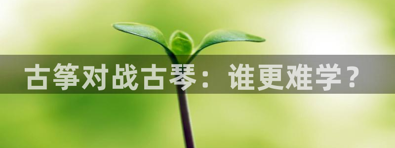 凯发k8官网下载客户端中心