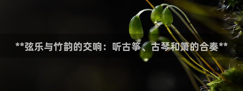 凯发k8国际真人版安全送38元