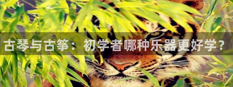 凯发国际平台官网