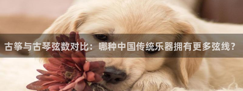 凯发国际网络平台网址