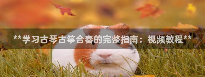 凯发k81111国际真人版