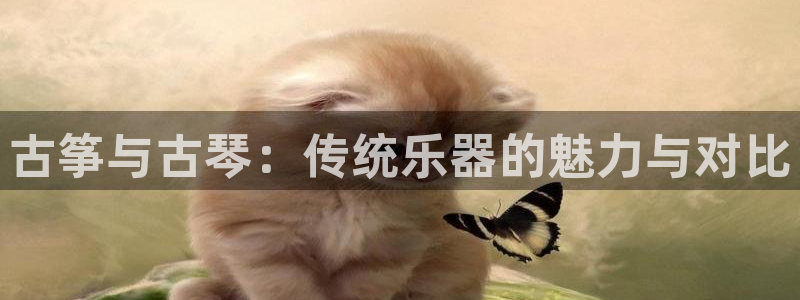 凯发k8娱乐官方版fxzls -安卓3.5