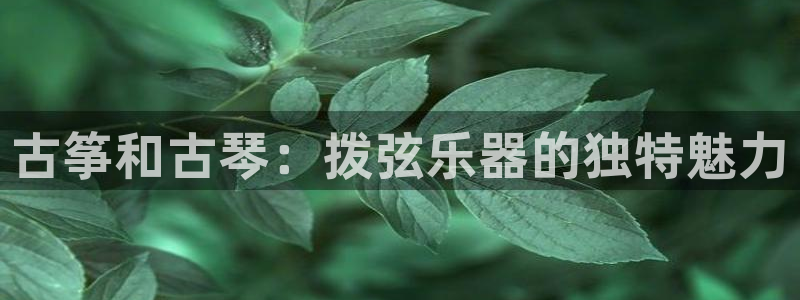 凯发k8555|手机版