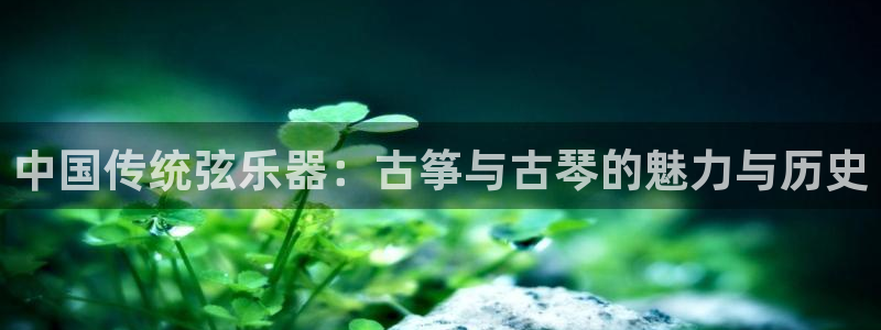 凯发app地址