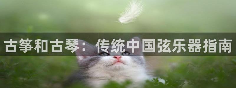 凯发k8app下载
