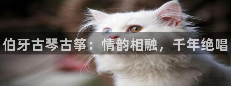 凯发旗舰
