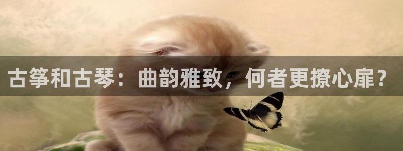 凯发网址登录