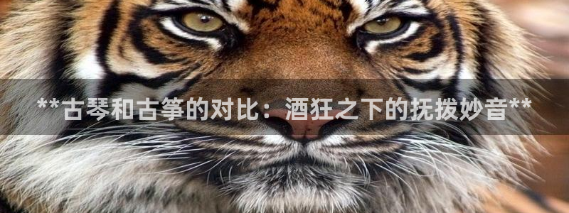 凯发旗舰厅网站