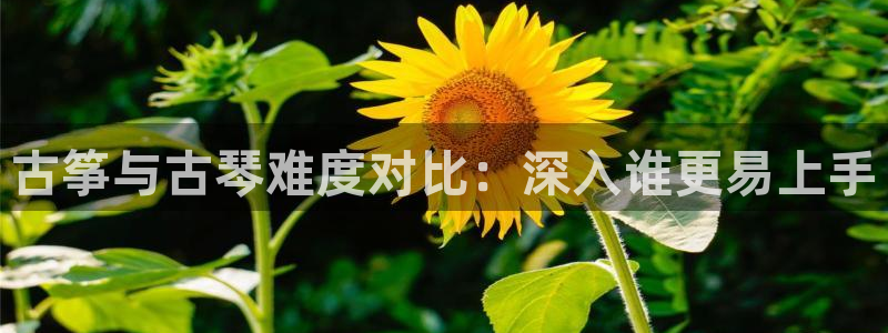 凯发娱乐官方网站
