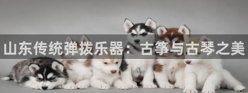 凯发k8国际手机网页