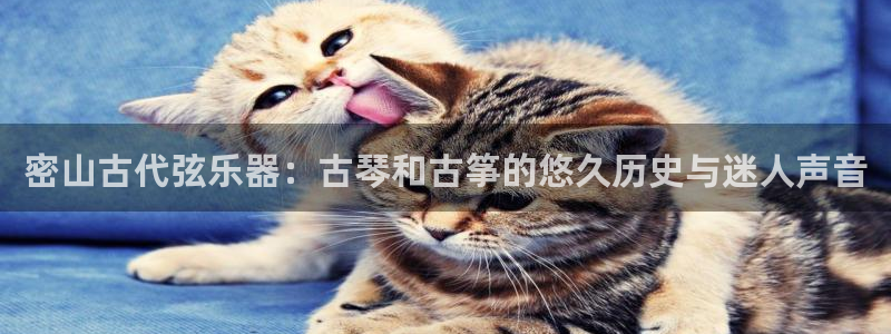 凯发娱乐官方网