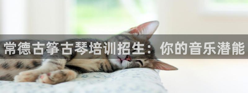 凯发娱乐国际厅