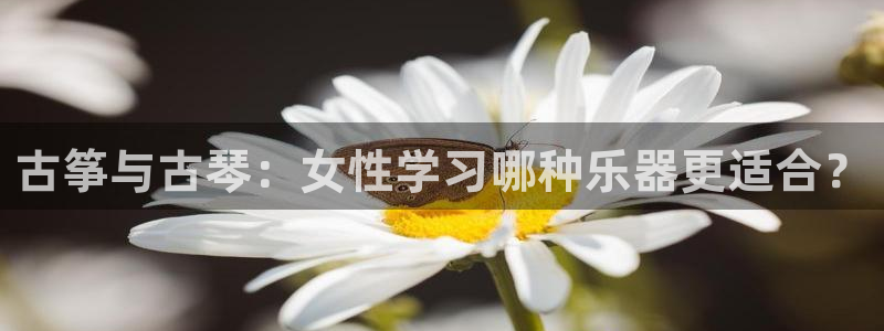 凯发k8手机是正品吗知乎
