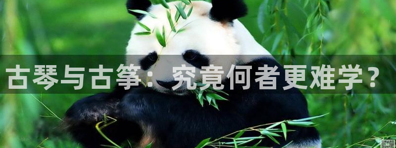 凯发k8国际真人娱乐旗舰厅