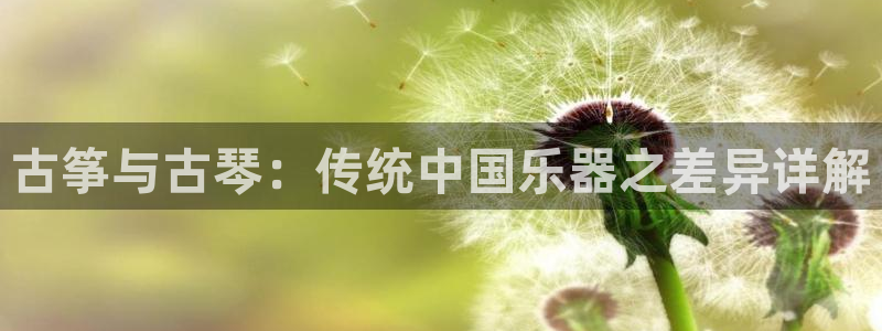 凯发网网站