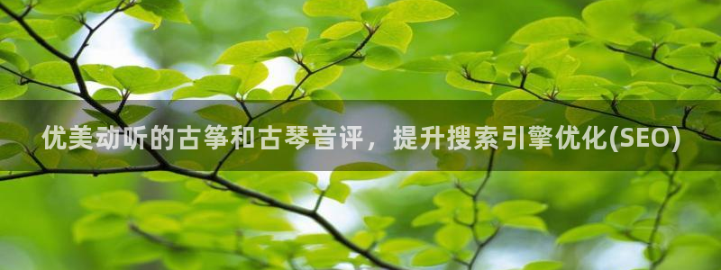 凯发国际网站