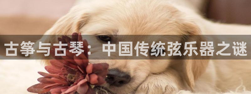 凯发平台轻7O777
