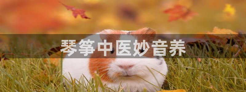 凯发国际网址官网查询