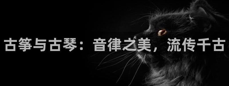 凯发手机app官网