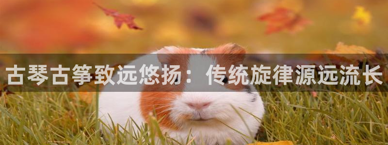 凯发K8旗舰厅