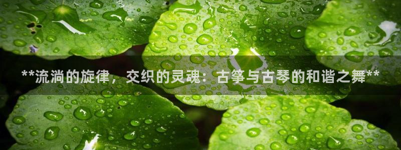 凯发线上官方网站下载网址