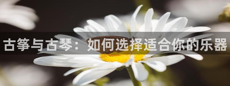 凯发k8国际真人娱乐手机app