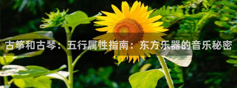 凯发k8娱乐平台网址：古筝和古琴：五行属性指南：东方乐器的音
