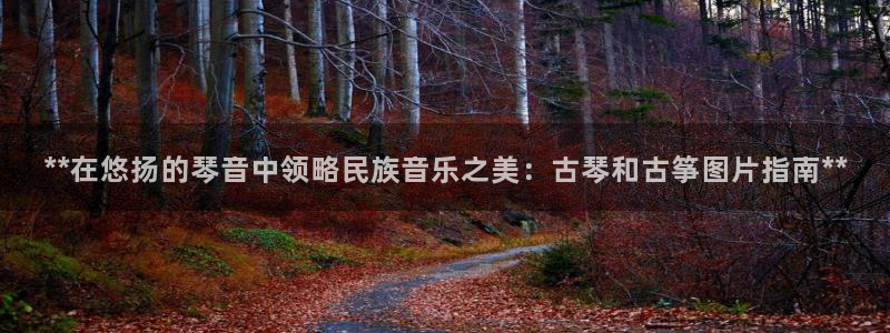 凯发网娱乐官网国际